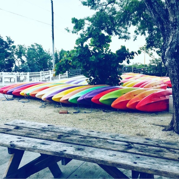 Meet your Posher, Deb - Picture 2 of 6